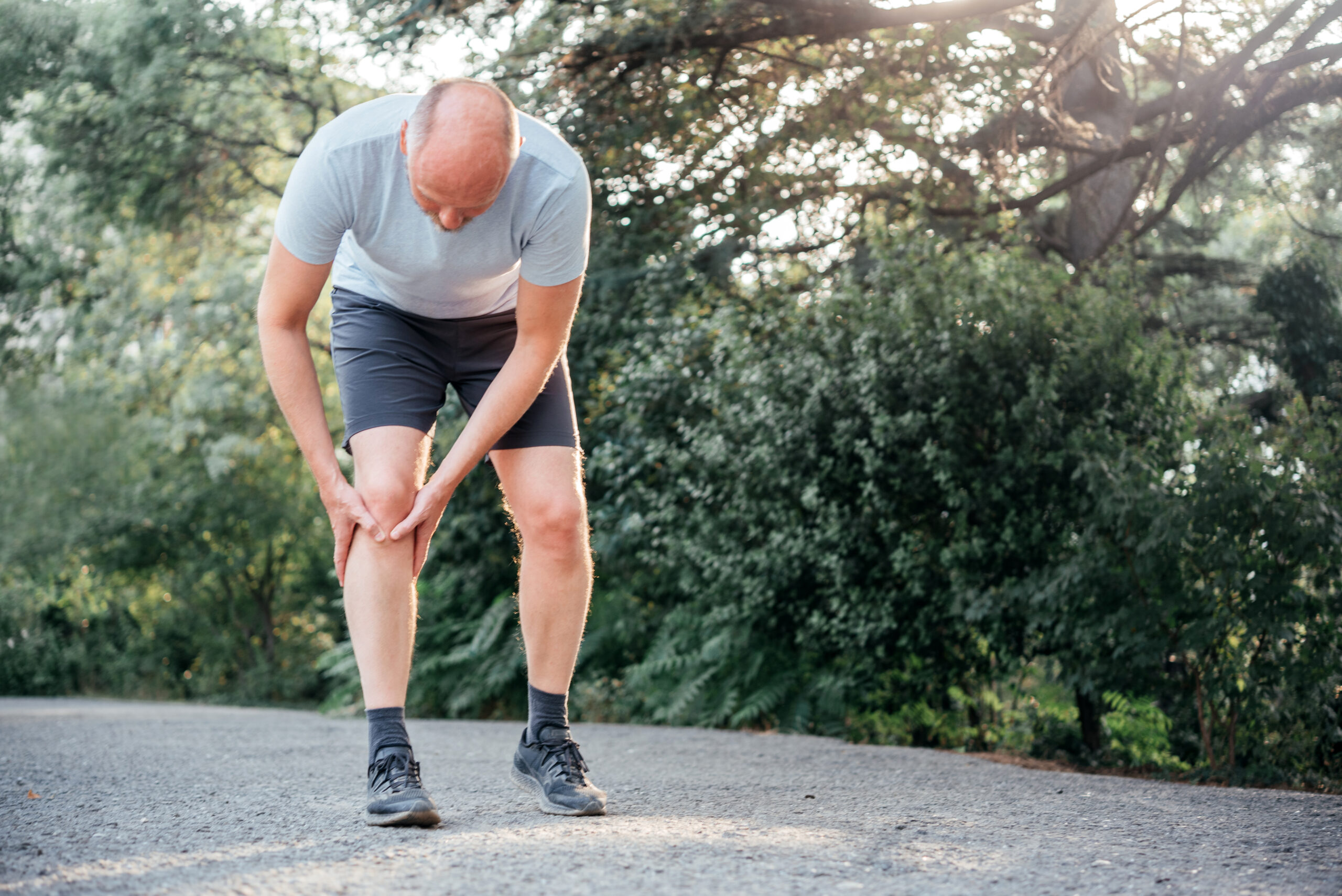 knee ligament