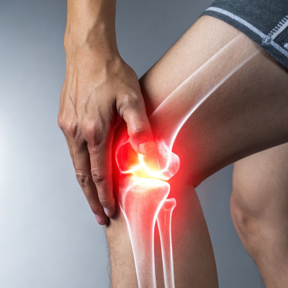 ACL and meniscus surgery