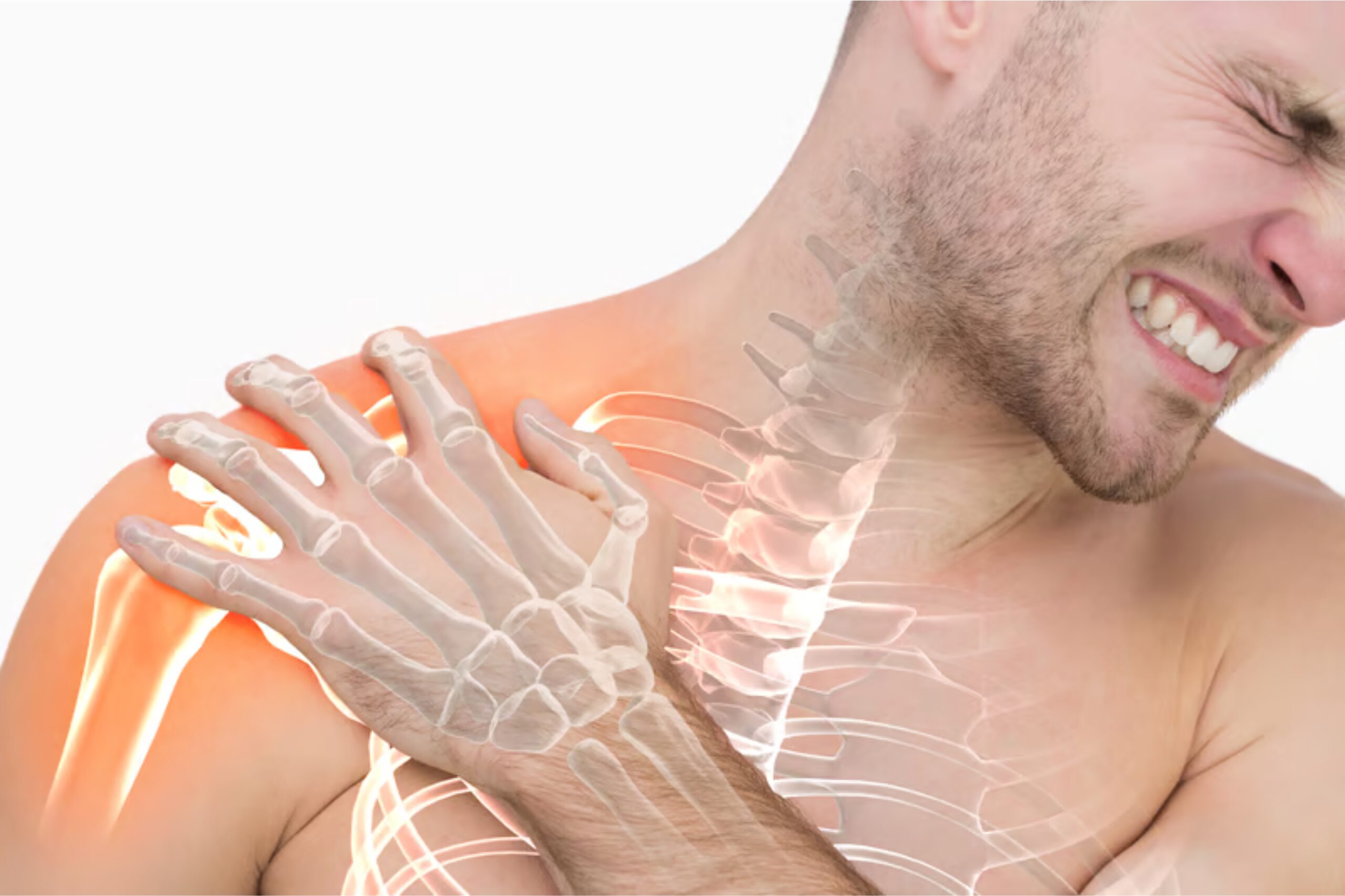 Shoulder Joint Ligaments